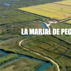Proyección del documental "La Marjal de Pego-Oliva" en el MARQ